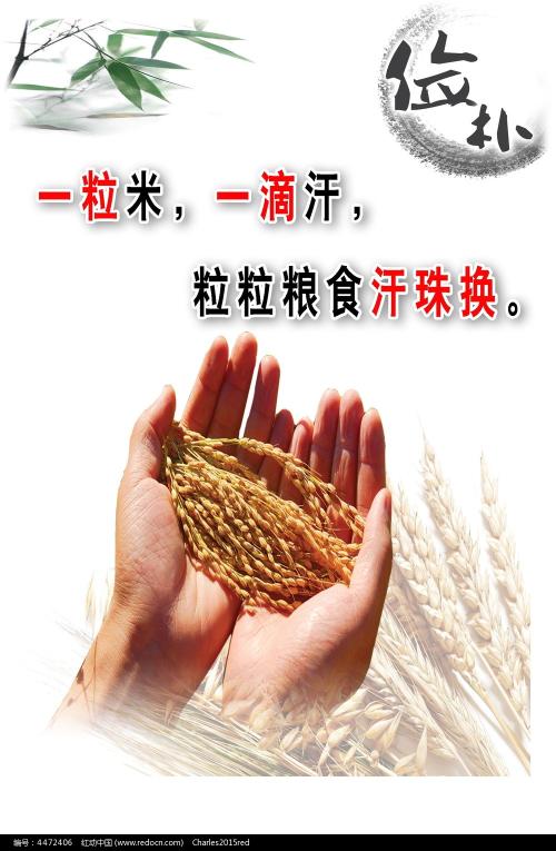 日本鹿儿岛国际大学留信网认证